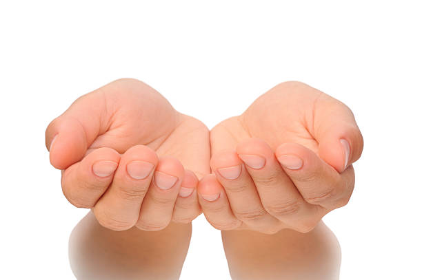Beautiful cupped hands of young woman - cut out